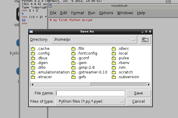 Raspberry Pi Programming