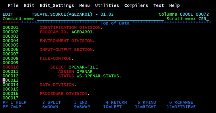 Cobol Programming