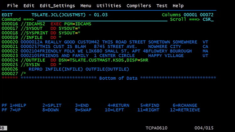 Cobol Programming