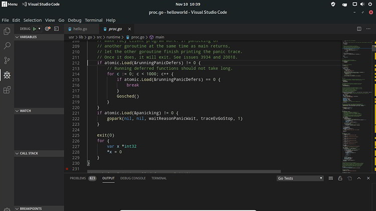 Golang on Manjaro