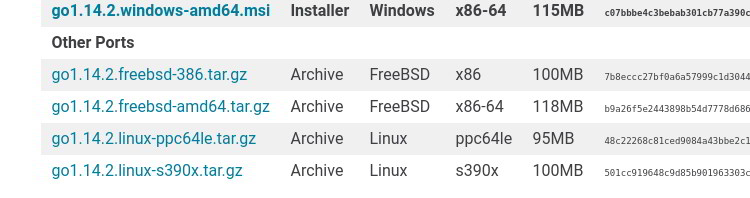How to Install Go in FreeBSD