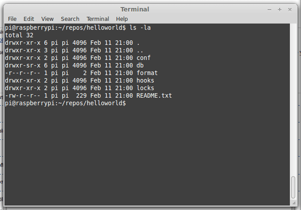 Raspberry Pi how to setup SVN server