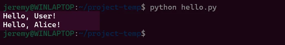 “How to call a function in Python”