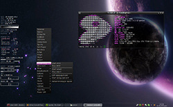 Gentoo Linux